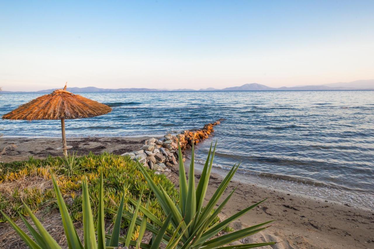 Elite Cottages Káto Lekhónia المظهر الخارجي الصورة