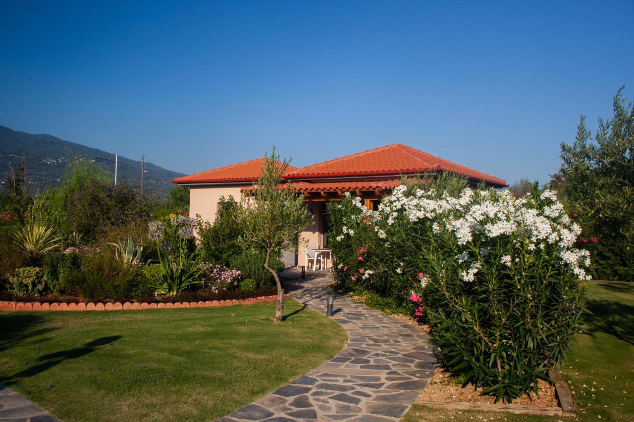 Elite Cottages Káto Lekhónia المظهر الخارجي الصورة